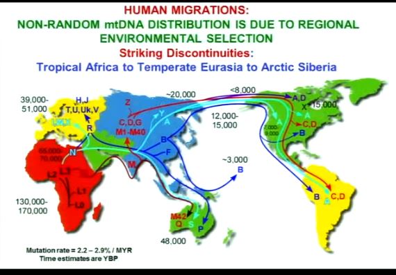 Human migration.JPG