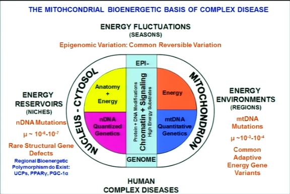 nucleus-is-energy-limited